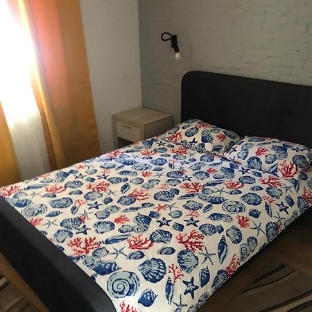 דירות קלוז'-נאפוקה Apartament Dorobanti מראה חיצוני תמונה
